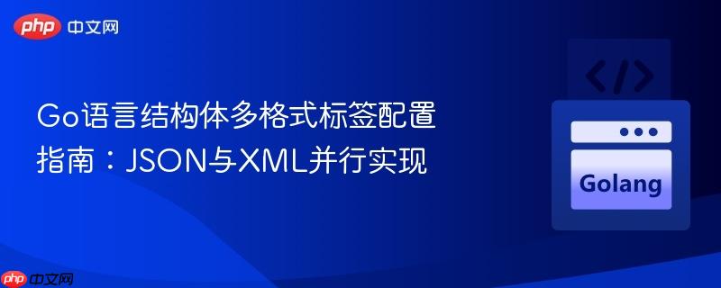 Go语言结构体多格式标签配置指南:JSON与XML并行实现