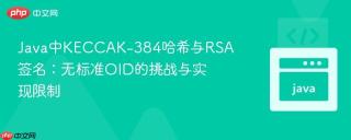 Java中KECCAK-384哈希与RSA签名：无标准OID的挑战与实现限制