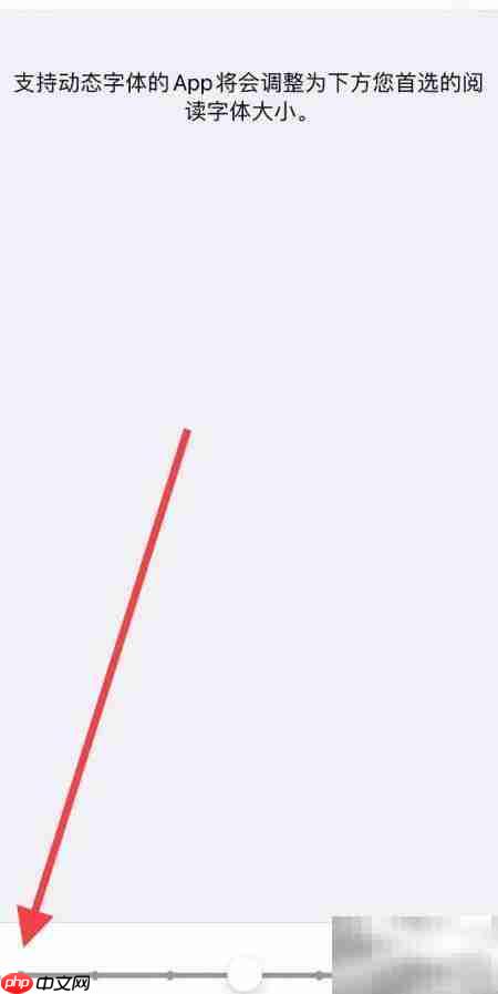 苹果手机调超小字体方法