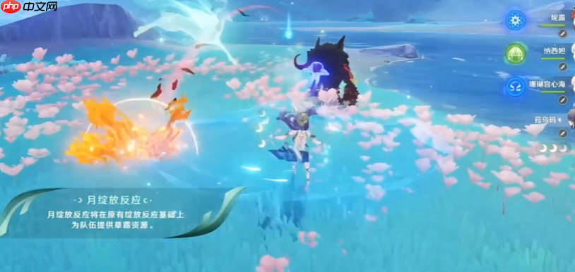 《原神》菈乌玛强度介绍