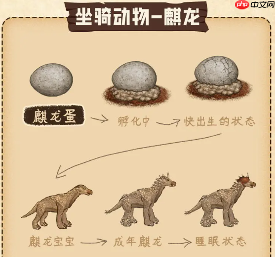 村落人生特殊物品介绍