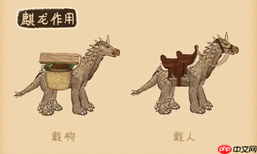 村落人生特殊物品介绍