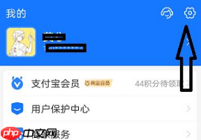 《元气桌面壁纸》取消自动续费方法
