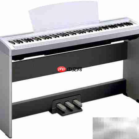 电子琴选购指南与价格解析