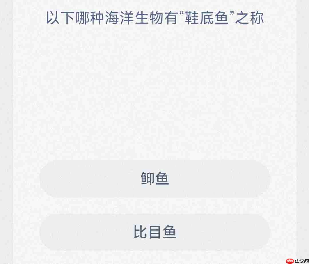 以下哪种海洋生物有鞋底鱼之称