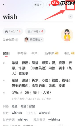 《有道词典》调整语速方法