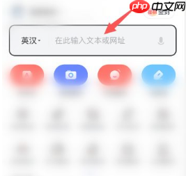 《有道词典》调整语速方法