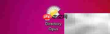 directory opus工具栏隐藏延迟设置