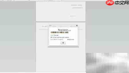 FlexPaper无法下载？试试这些方法