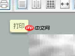 FlexPaper无法下载？试试这些方法