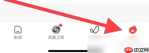 凤凰新闻查看历史发布教程