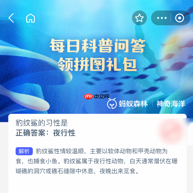 豹纹鲨的习性是