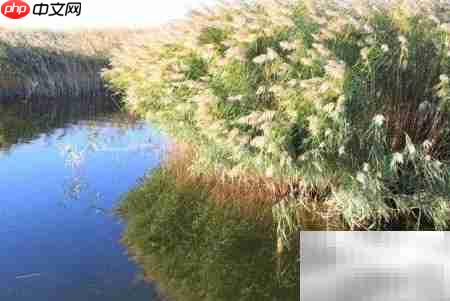 居延海旅游必看攻略