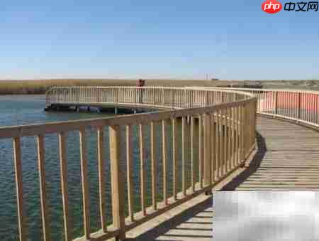 居延海旅游必看攻略