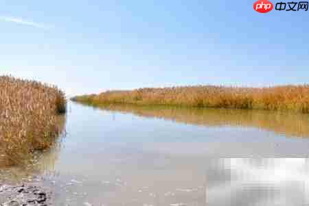 居延海旅游必看攻略