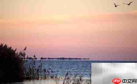 居延海旅游必看攻略