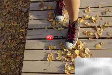 居延海旅游必看攻略