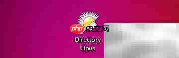 Directory Opus缩略图宽高比设置