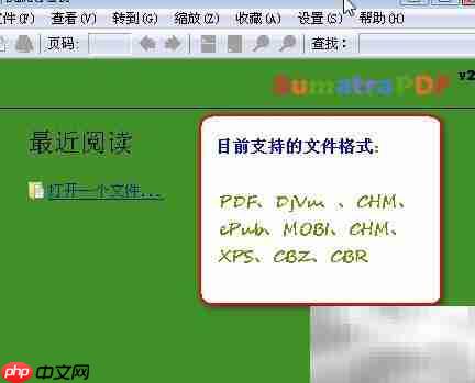 小巧快捷PDF阅读器