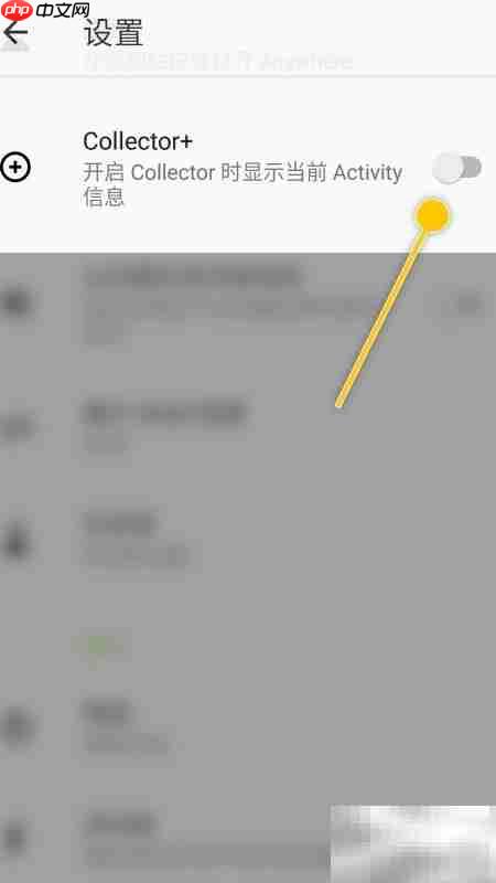 Anywhere开启Collector显示Activity