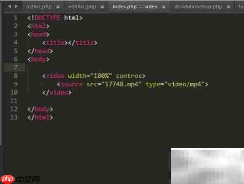 HTML视频标签使用指南