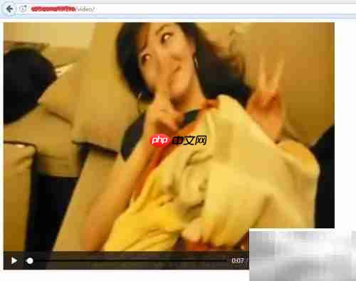 HTML视频标签使用指南