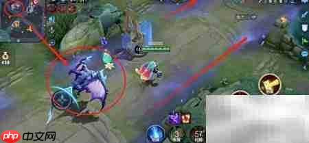 王者荣耀大龙释放技巧