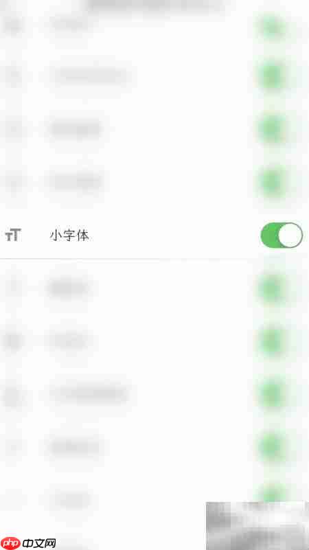 小字体开启人生笔记