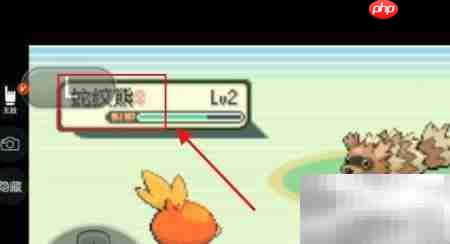 神光曲口袋妖怪攻略