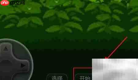 神光曲口袋妖怪攻略