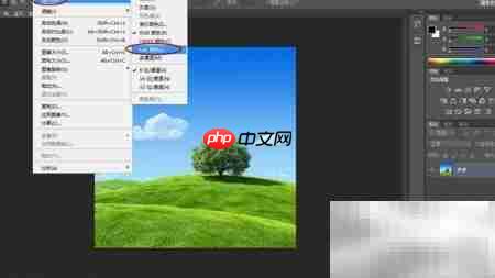 lab调色:精准调整图像色彩