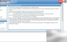 VB2008免序列号使用指南