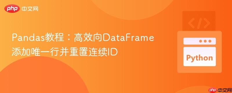 Pandas教程:高效向DataFrame添加唯一行并重置连续ID
