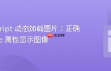 JavaScript 动态加载图片：正确使用 src 属性显示图像