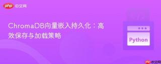 ChromaDB向量嵌入持久化：高效保存与加载策略