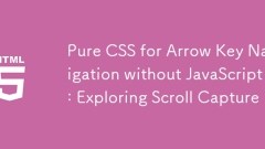 纯CSS实现无JavaScript的箭头键导航：探索滚动捕捉