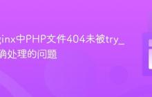 解决Nginx中PHP文件404未被try_files正确处理的问题