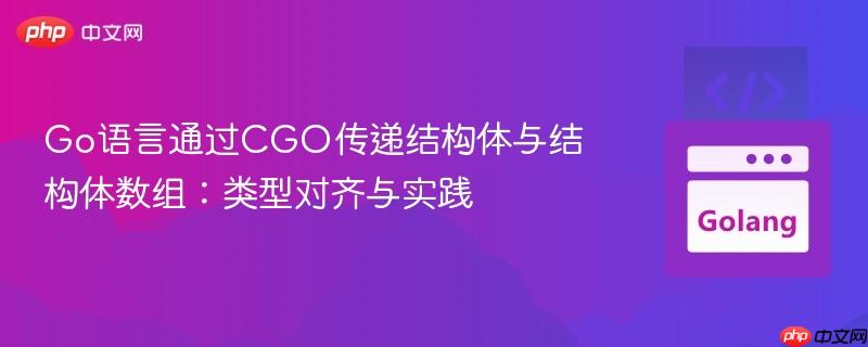 Go语言通过CGO传递结构体与结构体数组:类型对齐与实践
