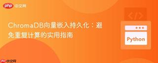 ChromaDB向量嵌入持久化：避免重复计算的实用指南