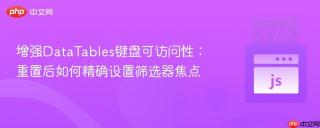 增强DataTables键盘可访问性：重置后如何精确设置筛选器焦点