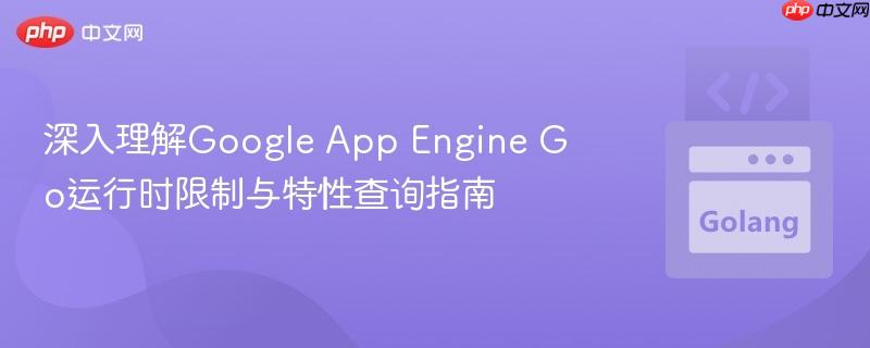 深入理解Google App Engine Go运行时限制与特性查询指南

