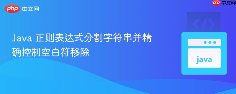 java 正则表达式分割字符串并精确控制空白符移除