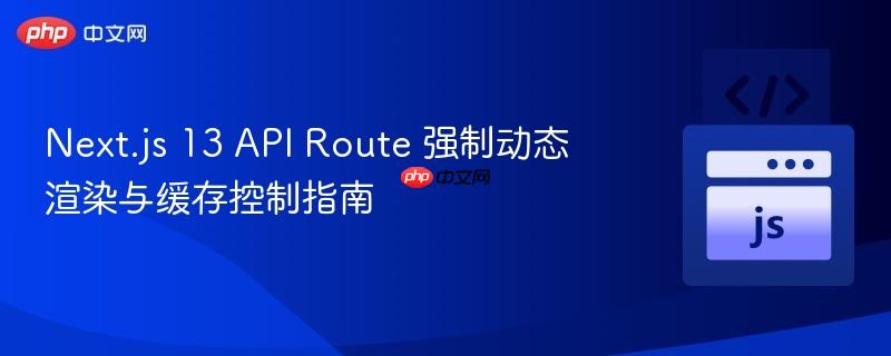 Next.js 13 API Route 强制动态渲染与缓存控制指南