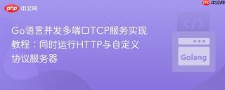 Go语言并发多端口TCP服务实现教程：同时运行HTTP与自定义协议服务器