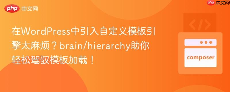 在wordpress中引入自定义模板引擎太麻烦？brain/hierarchy助你轻松驾驭模板加载！