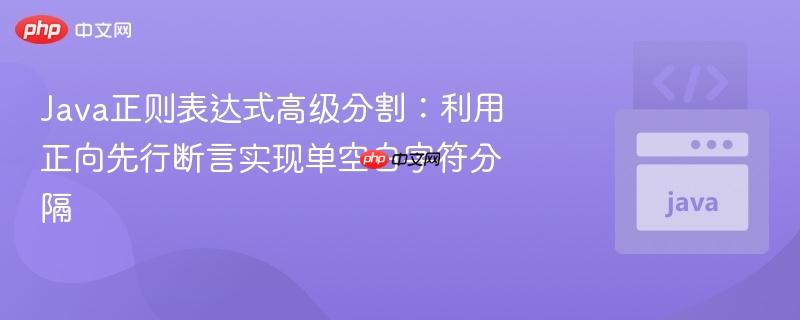 java正则表达式高级分割:利用正向先行断言实现单空白字符分隔