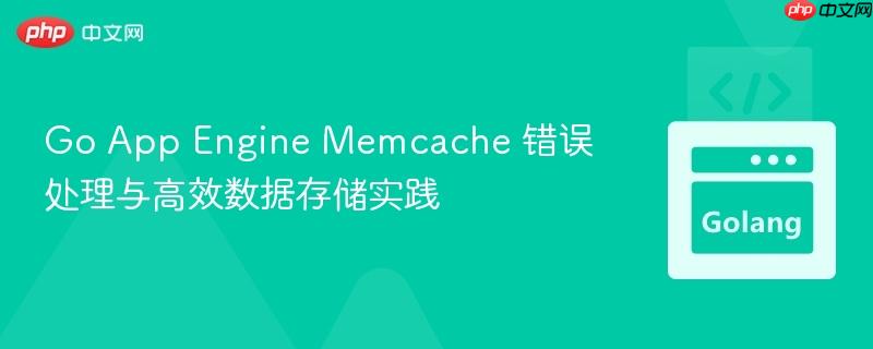 Go App Engine Memcache 错误处理与高效数据存储实践