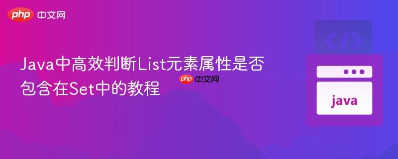 Java中高效判断List元素属性是否包含在Set中的教程
