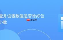 如何检查并设置数值是否恰好包含两位小数