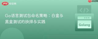Go语言测试包命名策略：白盒与黑盒测试的抉择与实践